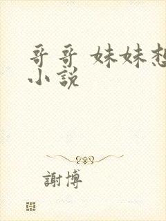 哥哥 妹妹想要小说封面