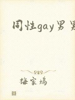 同性gay男男