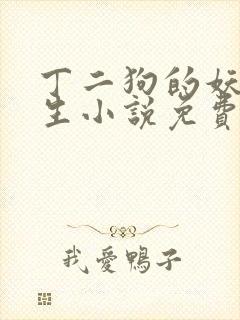丁二狗的妖孽人生小说免费阅读全文