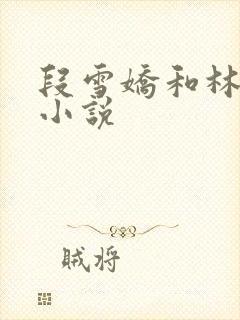段雪娇和林杰的小说