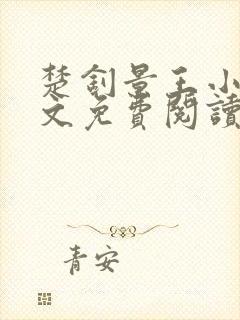 楚钊景王小说全文免费阅读封面