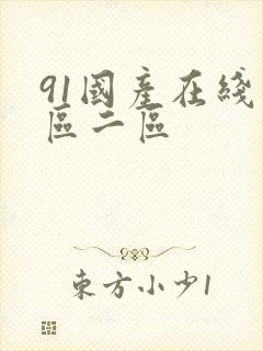 91国产在线一区二区