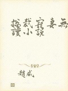 总裁宠妻无度阅读小说