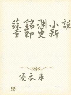 苏铭渊小说最新章节更新