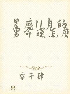 农历11月的鸡男命运怎么样封面