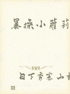 暴操小萝莉内射