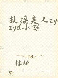 扶摇夫人zydzyd小说