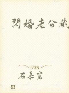 闪婚老公藏不住封面