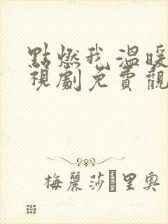 点燃我温暖你电视剧免费观看完整版在线观看