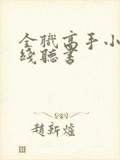 全职高手小说在线听书