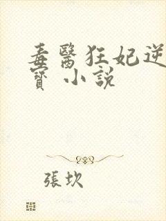 毒医狂妃逆天萌宝 小说