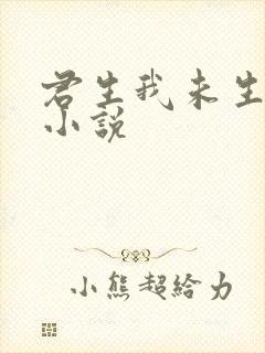 君生我未生网络小说封面