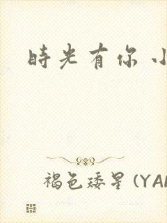 时光有你 小说