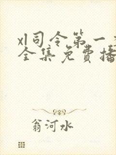 xl司令第一季全集免费播放在线观看