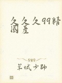 久久久99精品国产