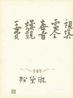 玉楼春电视剧免费观看全集在线19集封面