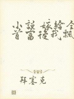 小说 嫁给全城首富后我飘了