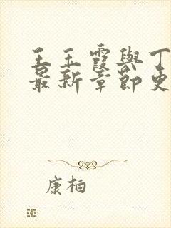 王玉霞与丁局长最新章节更新