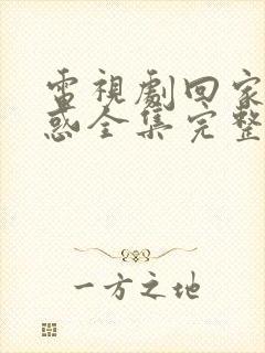 电视剧回家的诱惑全集完整版免费观看封面