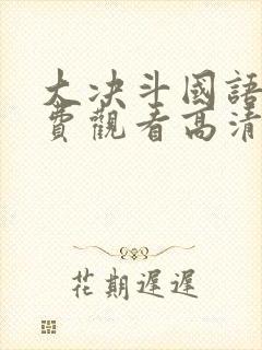 大决斗国语版免费观看高清