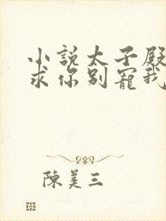 小说太子殿下,求你别宠我第21章