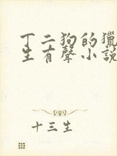 丁二狗的猎艳人生有声小说