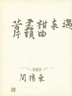 苦尽柑来遇见你片头曲