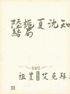 陆栀夏沈知砚大结局封面