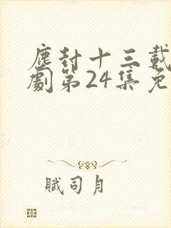 尘封十三载电视剧第24集免费观看