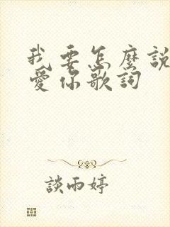 我要怎么说我不爱你歌词