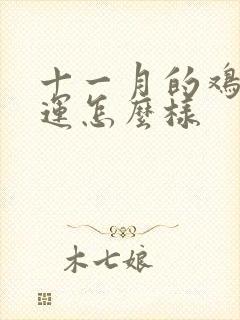 十一月的鸡男命运怎么样封面