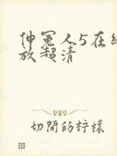 伸冤人5在线播放超清