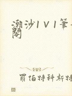 潮沙1∨1笔趣阁封面