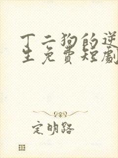 丁二狗的逆袭人生免费短剧