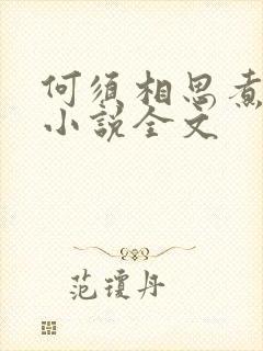 何须相思煮余年小说全文封面