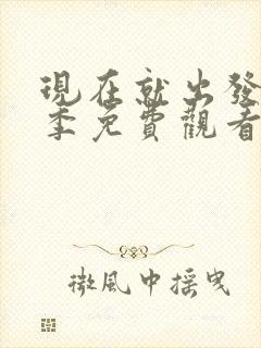 现在就出发第四季免费观看完整版