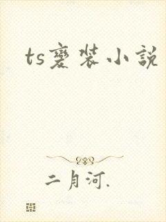 ts变装小说