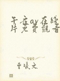 午夜av在线毛片免费观看