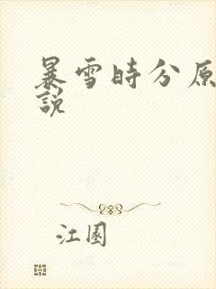 暴雪时分原著小说封面