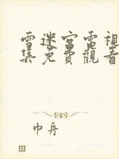 雪迷宫电视剧全集免费观看第九集封面