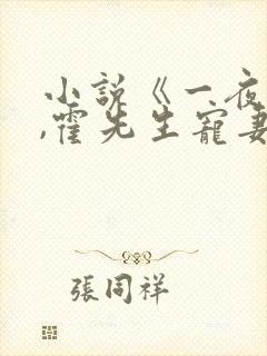 小说《一夜情深,霍先生宠妻无度》