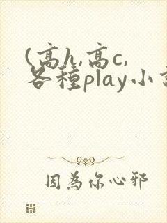 (高h,高c,各种play小说