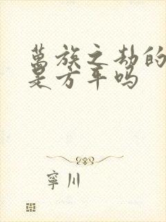 万族之劫的人王是方平吗封面