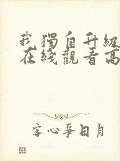 我独自升级动漫在线观看高清