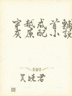 穿越成首辅的炮灰原配小说免费阅读