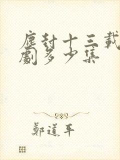 尘封十三载电视剧多少集