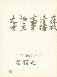 大神高清在线观看免费播放电视剧