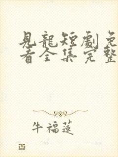 见龙短剧免费观看全集完整版高清