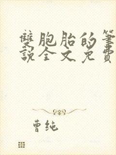 双胞胎的笔记小说全文免费阅读大结局