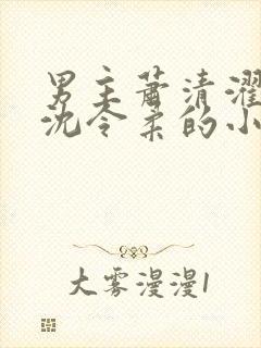 男主萧清濯女主沈令柔的小说封面